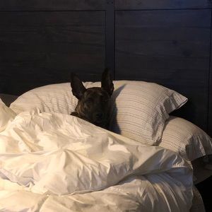 Meet your Posher, Coryn